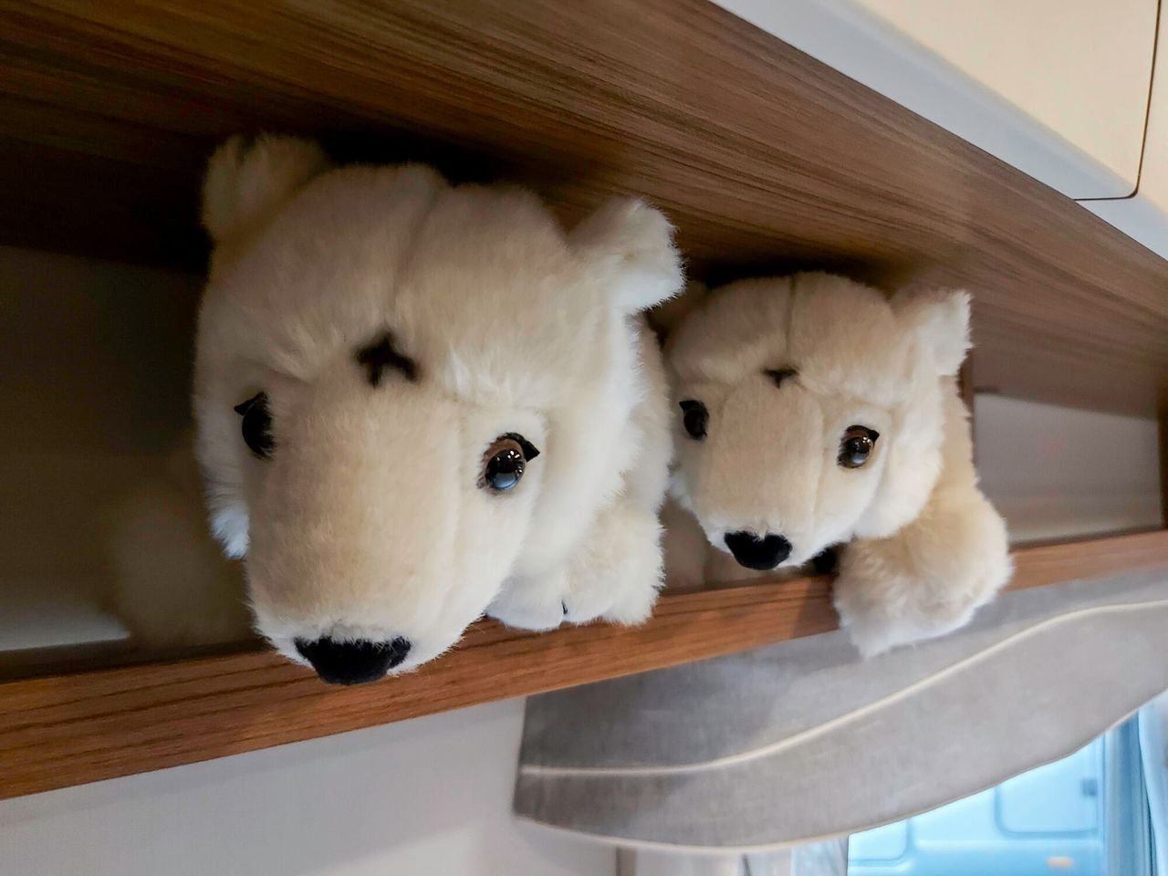 Caravane Polar 520 CTV Original – Image 3